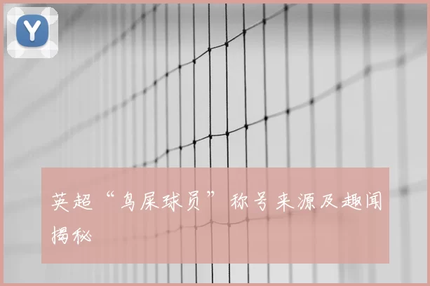 英超“鸟屎球员”称号来源及趣闻揭秘
