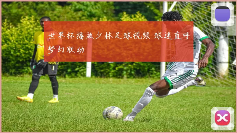 世界杯播放少林足球视频 球迷直呼梦幻联动