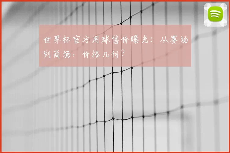 世界杯官方用球售价曝光：从赛场到商场，价格几何？