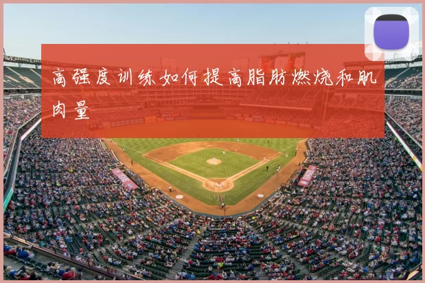 高强度训练如何提高脂肪燃烧和肌肉量