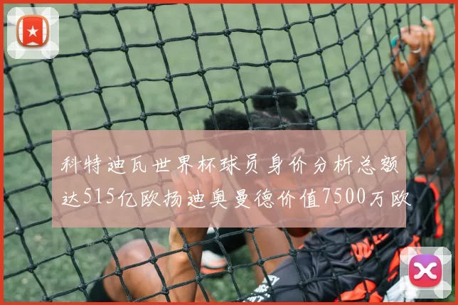 科特迪瓦世界杯球员身价分析总额达515亿欧扬迪奥曼德价值7500万欧