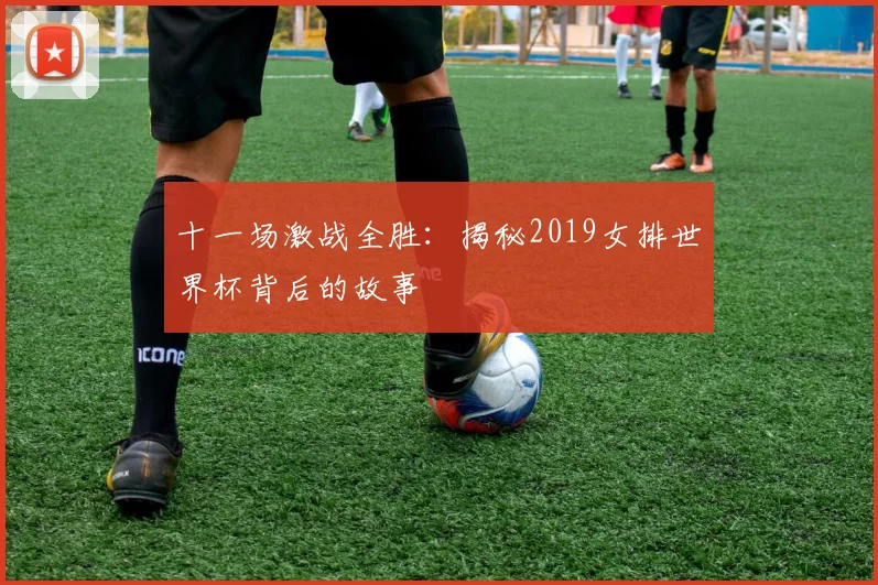 十一场激战全胜:揭秘2019女排世界杯背后的故事