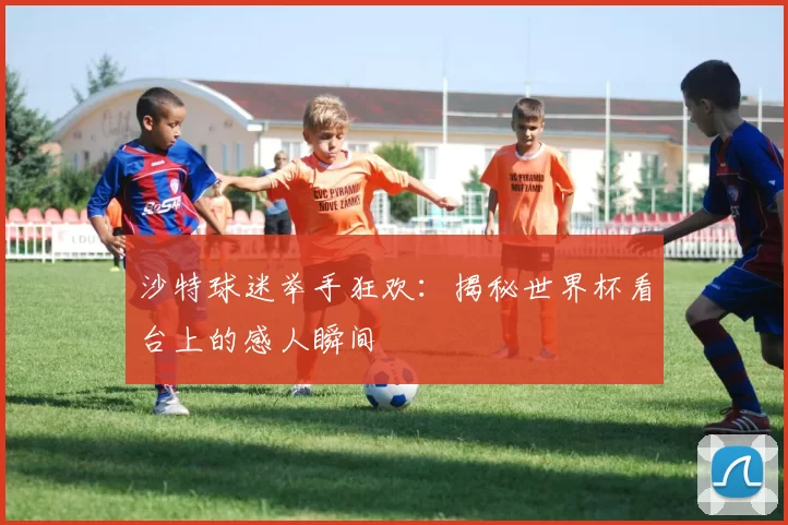 沙特球迷举手狂欢:揭秘世界杯看台上的感人瞬间