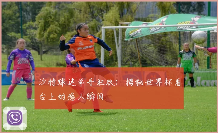 沙特球迷举手狂欢：揭秘世界杯看台上的感人瞬间
