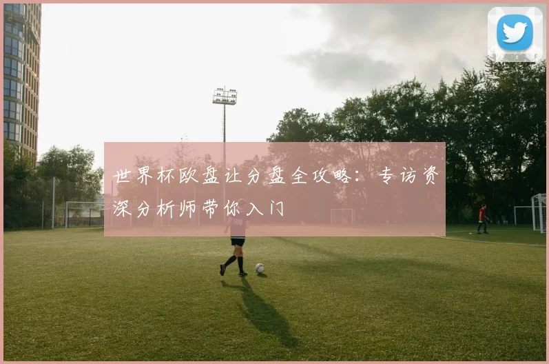 世界杯欧盘让分盘全攻略:专访资深分析师带你入门