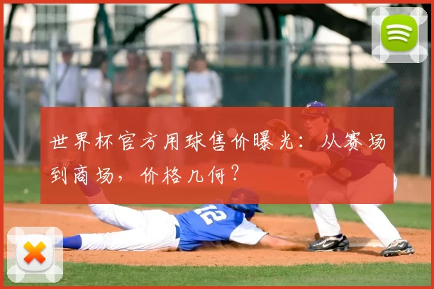 世界杯官方用球售价曝光:从赛场到商场,价格几何?