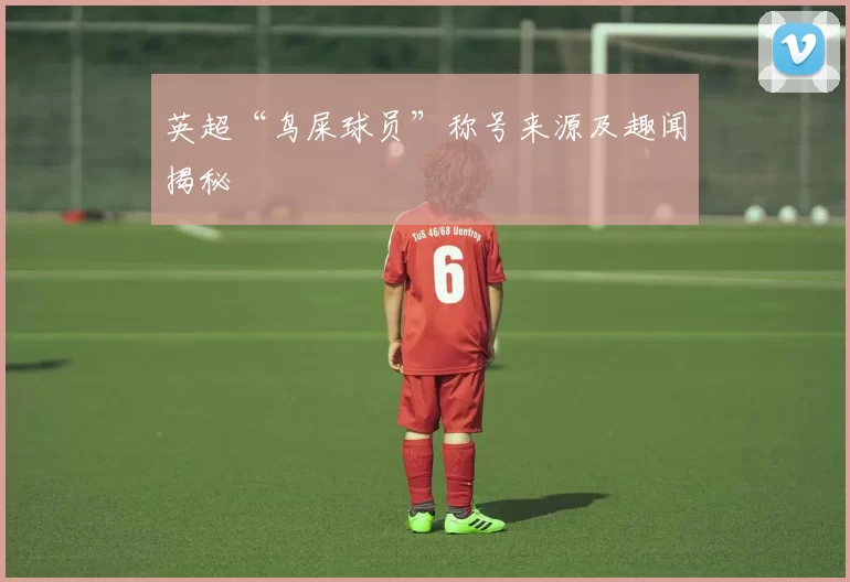 英超“鸟屎球员”称号来源及趣闻揭秘