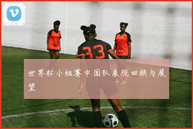 世界杯小组赛中国队表现回顾与展望